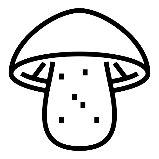 Snailmirror